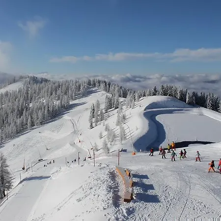 Гостьовий будинок Hubertushof Beim Roemerbad Бад-Кляйнкірхгайм