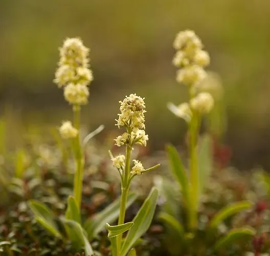 Hubertushof Beim Roemerbad Gostinjska kuća